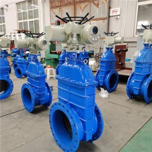 电动闸阀Z941h -64 DN500（石化行业、炼油厂