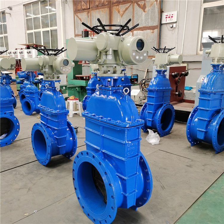 电动闸阀Z941h -64 DN500（石化行业、炼油厂、化工厂）