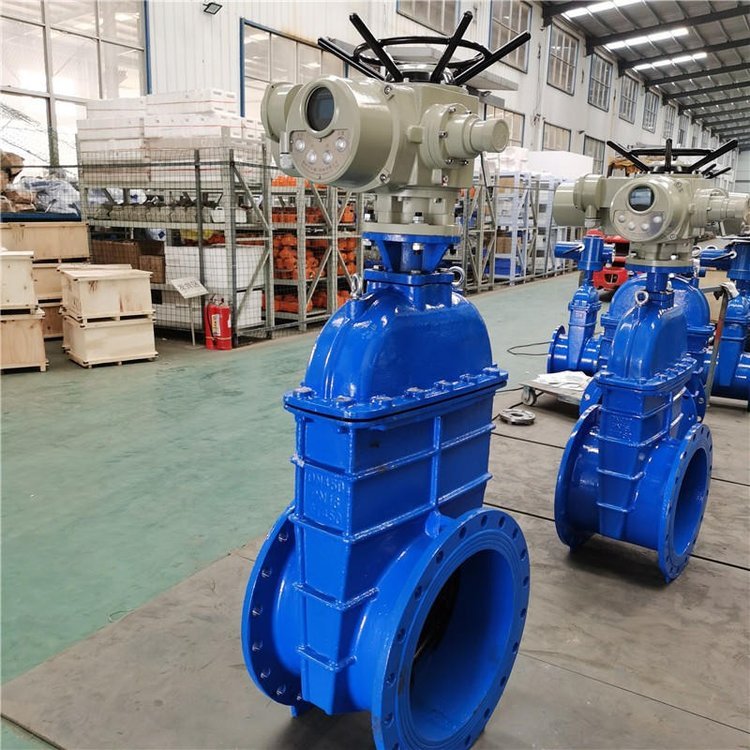 电动闸阀Z941h -64 DN500（石化行业、炼油厂、化工厂）