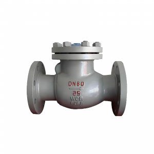 DN50 PN25 介质：甲胺，温度：80℃止回阀