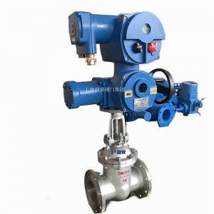 煤安电动闸阀dn100，dn450矿用电动闸阀