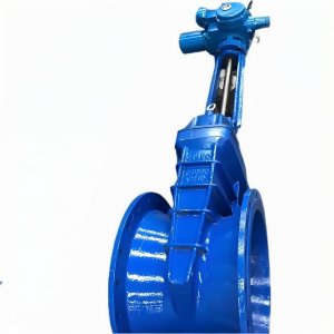 上海湖泉dn350沟槽电动明杆闸阀生产厂家