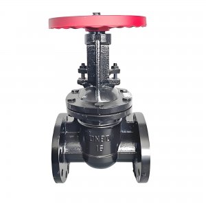 法兰连接闸阀（明杆）Z41T-10/16/200