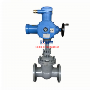  物联网智能型阀门电动装置ZB60-24(380)