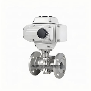 上海湖泉Q941F-10 DN65智能一体型电动球阀