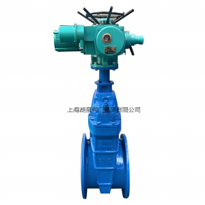 上海湖泉Z945X-10/16Q  DN700电动弹性座封闸阀