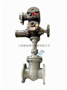 湖泉Z941H-25C DN125矿用隔爆型电动闸阀