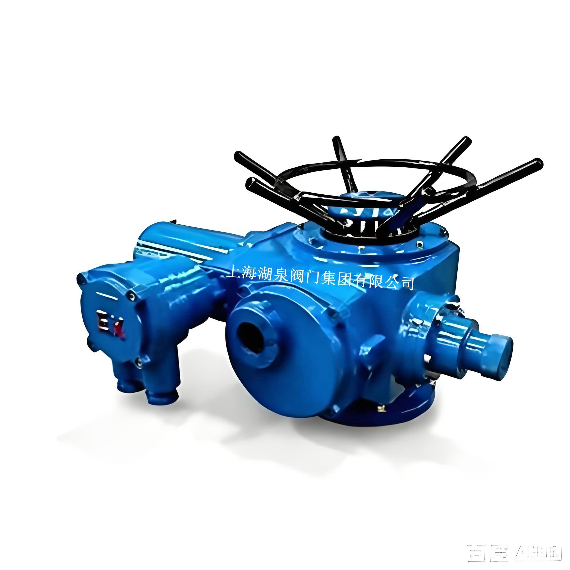 DZW120-18防爆型阀门电动装置(电压等级：